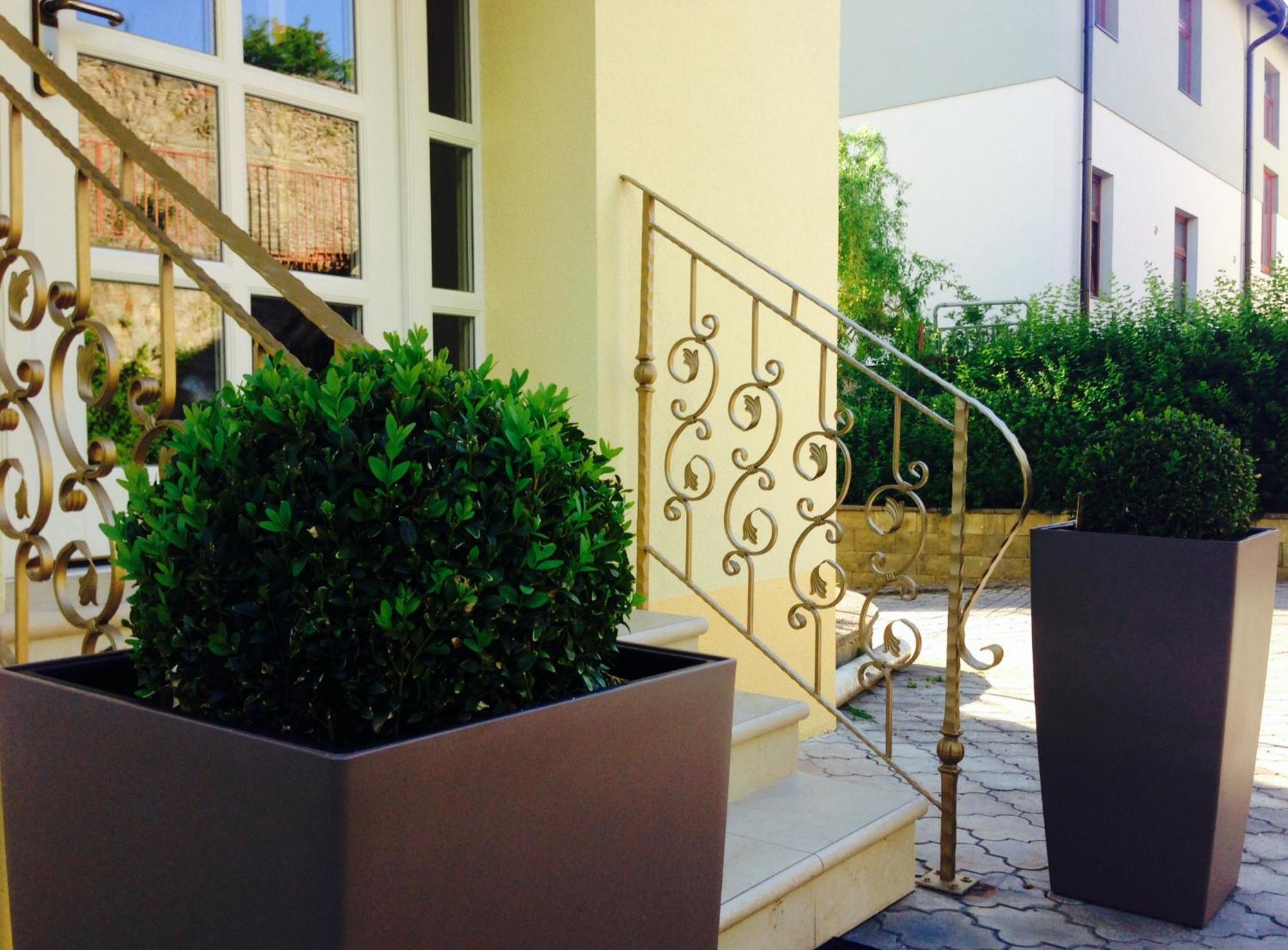 זנוימו Hotel Katerina מראה חיצוני תמונה